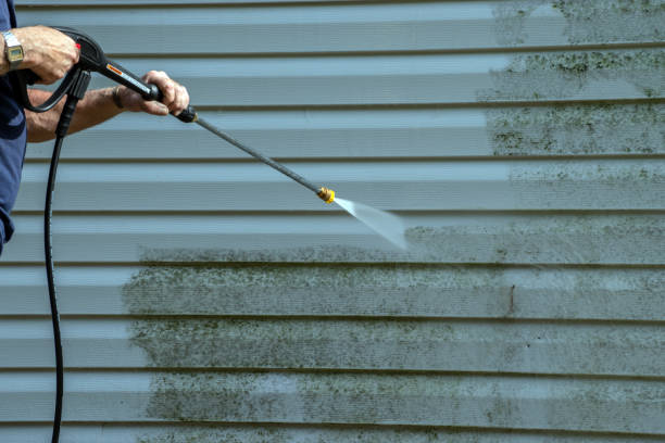 Best Residential Pressure Washing Services  in Ormond By The Sea, FL