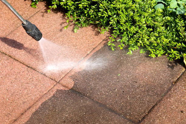 Best House Pressure Washing  in Ormond By The Sea, FL